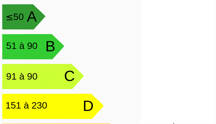 Diagnostic énergétique erroné : quelle sanction ?